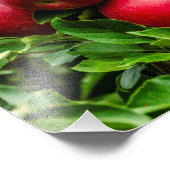 Helle rote Äpfel Fotodruck (Ecke)