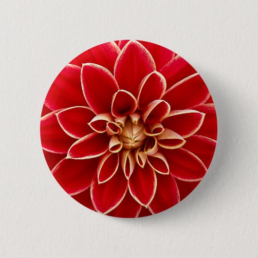 Helle rote Dahlie Button (Vorderseite)