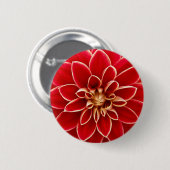 Helle rote Dahlie Button (Vorne & Hinten)