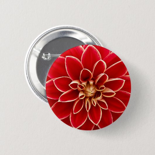 Helle rote Dahlie Button (Vorne & Hinten)