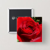 Helle Rote Rose Blume Schöne Blumenpracht Button (Vorne & Hinten)