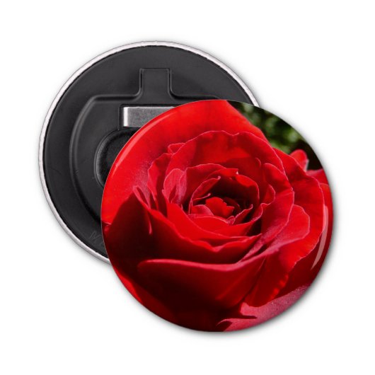 Helle Rote Rose Blume Schöne Blumenpracht Flaschenöffner (Vorderseite)