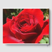 Helle Rote Rose Blume Schöne Blumenpracht Gästebuch (Rückseite)