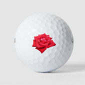 Helle Rote Rose Blume Schöne Blumenpracht Golfball (Vorderseite)
