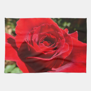 Helle Rote Rose Blume Schöne Blumenpracht Handtuch