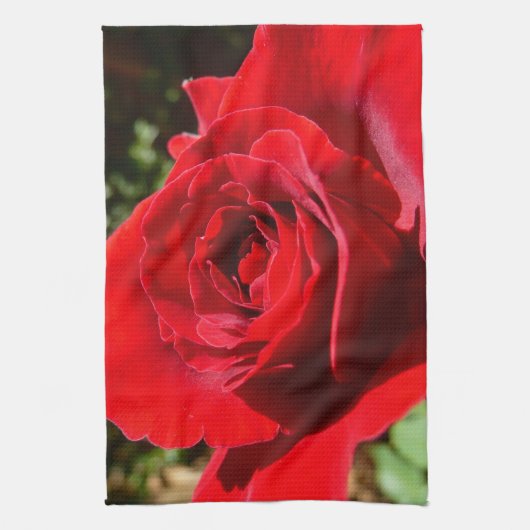 Helle Rote Rose Blume Schöne Blumenpracht Handtuch (Vertikal)