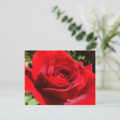 Helle Rote Rose Blume Schöne Blumenpracht Karte (Stehend Vorderseite)