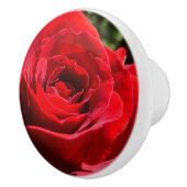 Helle Rote Rose Blume Schöne Blumenpracht Keramikknauf (Rechts)