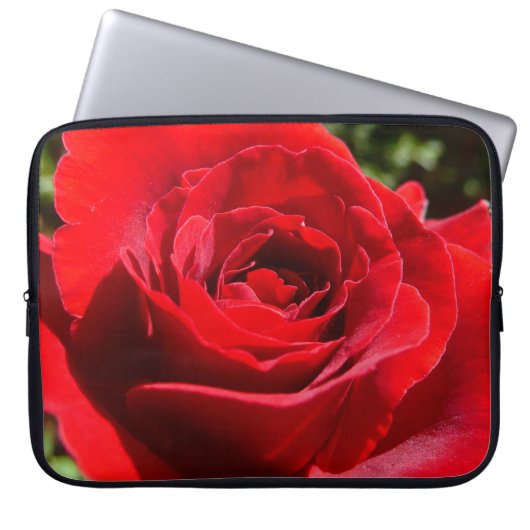 Helle Rote Rose Blume Schöne Blumenpracht Laptopschutzhülle (Vorderseite)