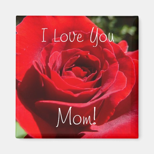 Helle Rote Rose Blume Schöne Blumenpracht Magnet (Vorne)