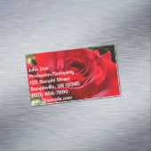 Helle Rote Rose Blume Schöne Blumenpracht Magnetische Visitenkarte (Beispiel)