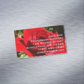 Helle Rote Rose Blume Schöne Blumenpracht Magnetische Visitenkarte (Beispiel)
