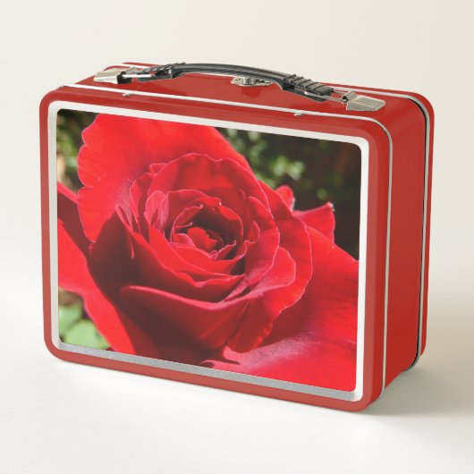 Helle Rote Rose Blume Schöne Blumenpracht Metall Brotdose (Rückseite)