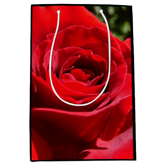 Helle Rote Rose Blume Schöne Blumenpracht Mittlere Geschenktüte (Vorderseite)