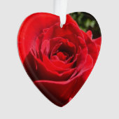 Helle Rote Rose Blume Schöne Blumenpracht Ornament (Vorderseite)