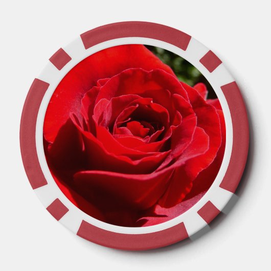 Helle Rote Rose Blume Schöne Blumenpracht Pokerchips (Rückseite)