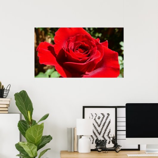 Helle Rote Rose Blume Schöne Blumenpracht Poster (Heimbüro)