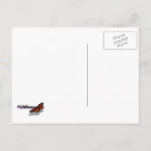 Helle Rote Rose Blume Schöne Blumenpracht Postkarte (Rückseite)