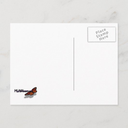 Helle Rote Rose Blume Schöne Blumenpracht Postkarte (Rückseite)