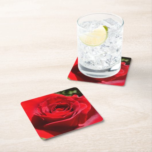 Helle Rote Rose Blume Schöne Blumenpracht Rechteckiger Pappuntersetzer (Vor Ort)