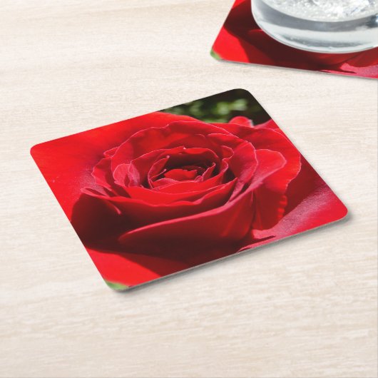 Helle Rote Rose Blume Schöne Blumenpracht Rechteckiger Pappuntersetzer (angewinkelt)