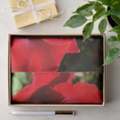 Helle Rote Rose Blume Schöne Blumenpracht Seidenpapier (Geschenk)