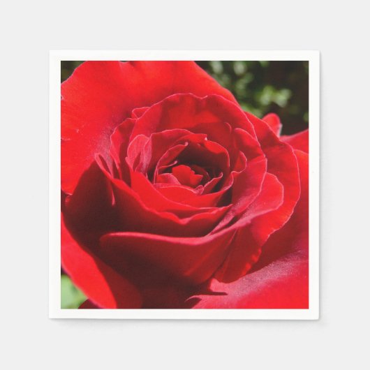 Helle Rote Rose Blume Schöne Blumenpracht Serviette (Vorderseite)
