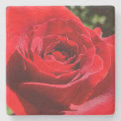 Helle Rote Rose Blume Schöne Blumenpracht Steinuntersetzer (Vorderseite)