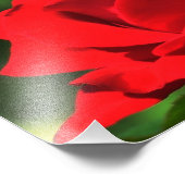 Helle Rote Rose Fotodruck (Ecke)