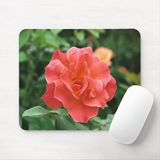 Helle Rote Rose.... Mousepad (Mit Mouse)