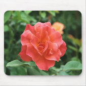 Helle Rote Rose.... Mousepad (Vorne)
