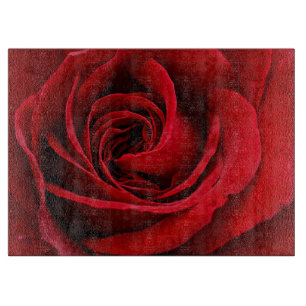 Helle rote Rose Nahaufnahme Schneidebrett