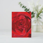 Helle Rote Rose Postkarte (Stehend Vorderseite)