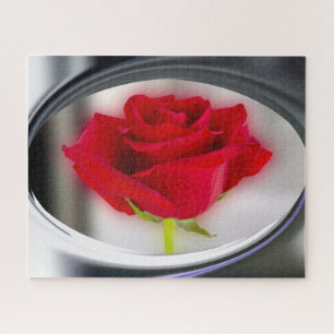 Helle rote Rose Puzzle