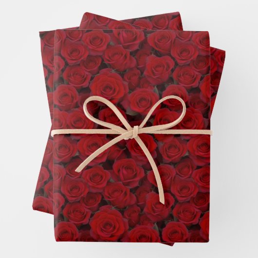 Helle Rote Rosen Geschenkpapier Set (Beispiel)