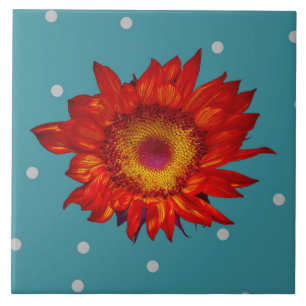 Helle rote Sonnenblume auf blauer Keramik-Fliese Fliese