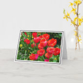 Helle rote Tulips gegen grüne Blätter Karte (Gelbe Blume)