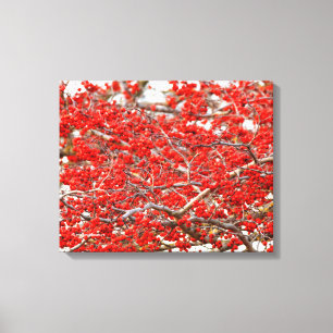 Helle rote Winterbeeren-Stechpalmenbaum-Beeren Leinwanddruck