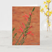 Helle Rote Wüste Wildblumen Hummingbird Bush Karte (Gelbe Blume)