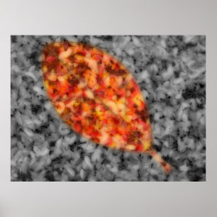 Helle Schatten Druck Poster