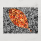 Helle Schatten Postkarte (Vorderseite)