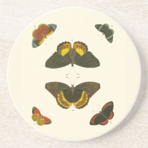 Helle Schmetterlinge durch Pieter Cramer Getränkeuntersetzer