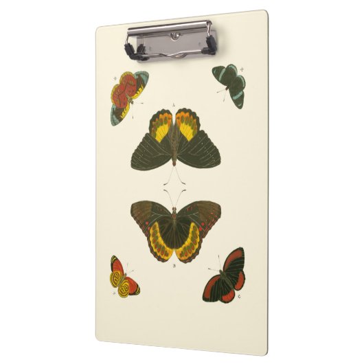 Helle Schmetterlinge durch Pieter Cramer Klemmbrett (Links)