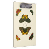 Helle Schmetterlinge durch Pieter Cramer Klemmbrett (Rechts)
