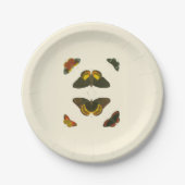 Helle Schmetterlinge durch Pieter Cramer Pappteller (Vorderseite)