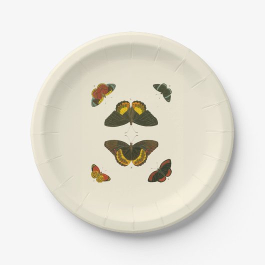Helle Schmetterlinge durch Pieter Cramer Pappteller (Vorderseite)