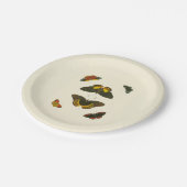 Helle Schmetterlinge durch Pieter Cramer Pappteller (Schrägansicht)