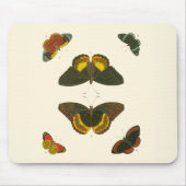 Helle Schmetterlinge von Pieter Cramer Mousepad (Vorne)