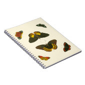 Helle Schmetterlinge von Pieter Cramer Notizblock (Rechte Seite)