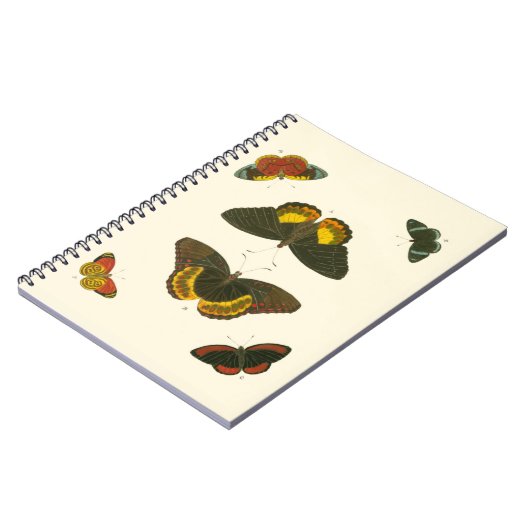 Helle Schmetterlinge von Pieter Cramer Notizblock (Linke Seite)